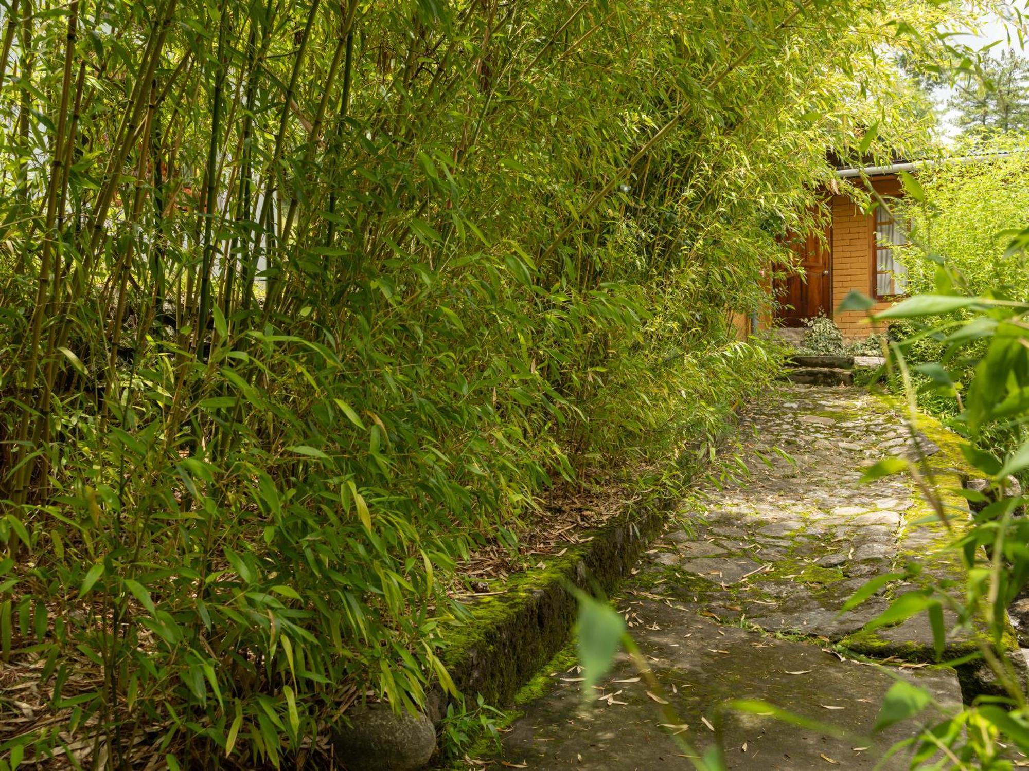 Tiger'S Nest Resort - Best Resort In 帕罗 外观 照片